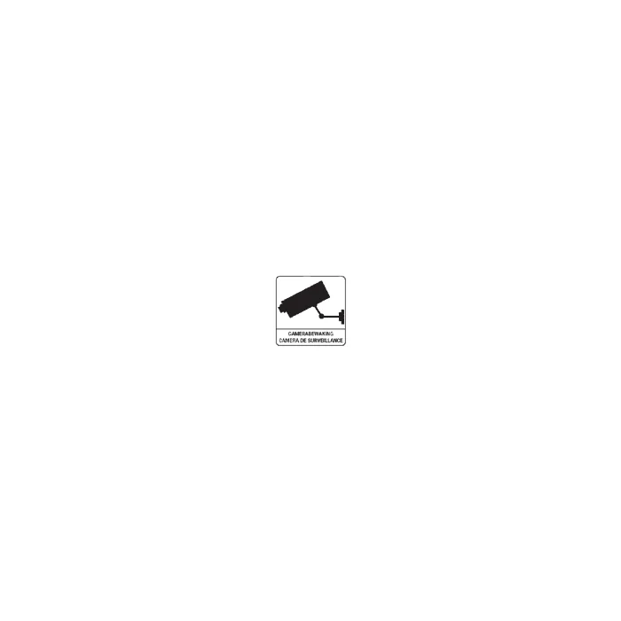 Pictogram Camerabewaking type 2