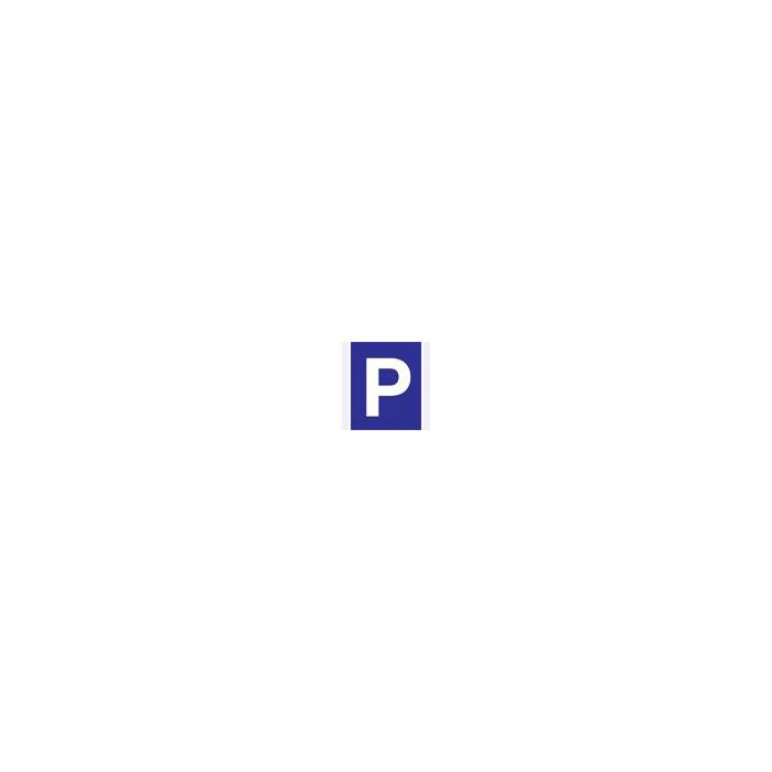 Pictogram Parkeerplaatsbord rechthoekig