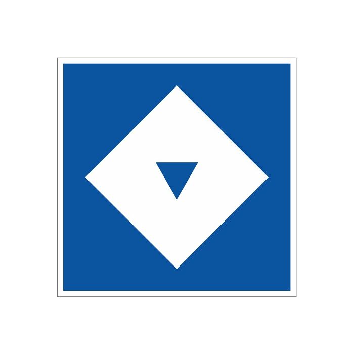 Scheepvaartbord E.5.13 / Toestemming ligplaats te nemen (ankeren en meren) uitsluitend voor schepen — zowel duwvaart als andere schepen dan duwvaart — die één blauwe kegel of één blauw licht moeten voeren, aan de zijde van de vaarweg waar het bord is gepl