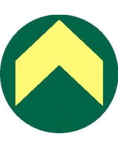 Fotoluminescerende sticker rond met pijl