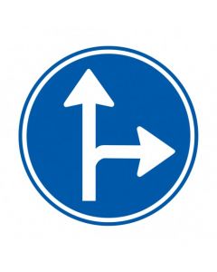 Verkeersbord D06R