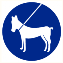 Pictogram Honden verplicht aan de riem