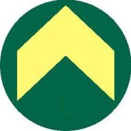 Fotoluminescerende sticker rond met pijl