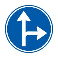 Verkeersbord D06R